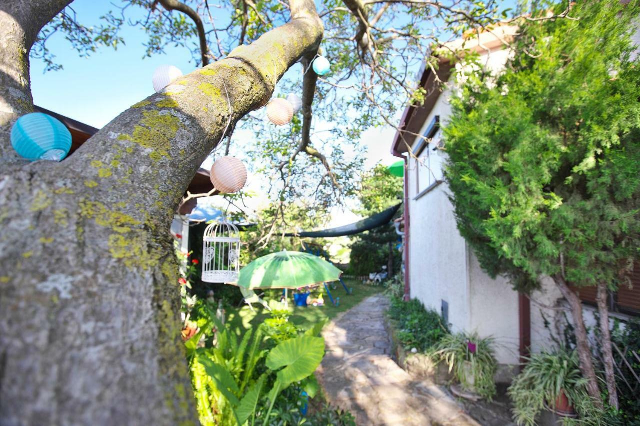 Cozy Istrian House ξενώνας Izola Εξωτερικό φωτογραφία