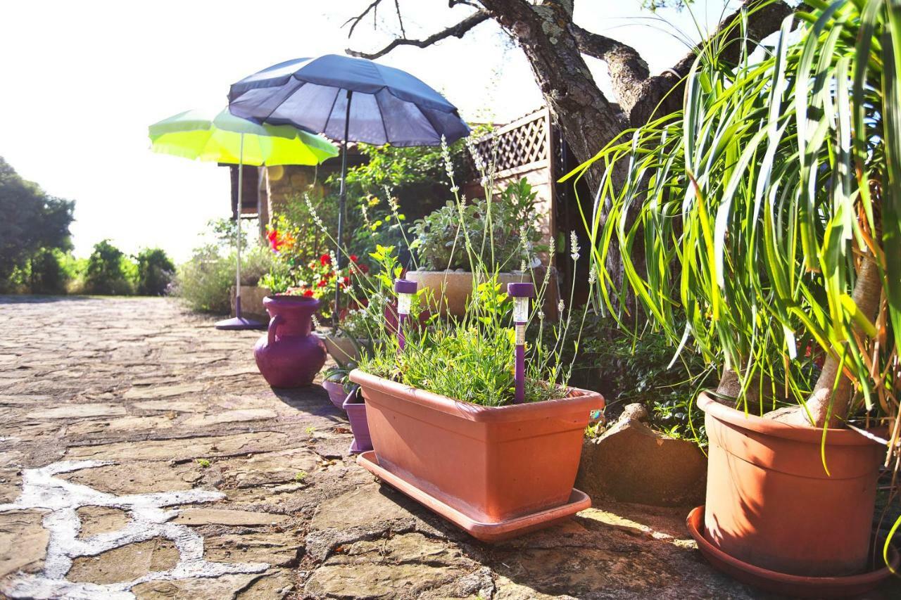 Cozy Istrian House ξενώνας Izola Εξωτερικό φωτογραφία
